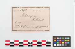Etiketten zu Bronzemelonenarmreif (NHMW-PRAE-023912)